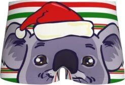 RWRAPS Noël Koala Stripe Boy'S Boxer Briefs Mode Coton Slip Nouveauté Boxer Shorts -Rose Magasin 6191WnKAXZL. AC UL1500