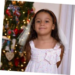 FRCOLOR 2 Pcs Voile Bow Fleur Fille Cheveux Clip Fleur Fille Casque Filles Tiara Robe De Mariée Voile Flocon De Neige Bobby Pins De Noël Épingles Voile Bow Coiffure Filles Voile Peigne 16 FRCOLOR 2 Pcs Voile Bow Fleur Fille Cheveux Clip Fleur Fille Casque Filles Tiara Robe De Mariée Voile Flocon De Neige Bobby Pins De Noël Épingles Voile Bow Coiffure Filles Voile Peigne -Rose Magasin 718lH3eAlOL. SL1500