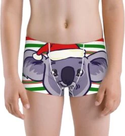 RWRAPS Noël Koala Stripe Boy'S Boxer Briefs Mode Coton Slip Nouveauté Boxer Shorts